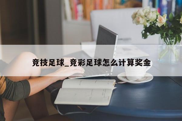 竞技足球_竞彩足球怎么计算奖金 竞技足球_竞彩足球怎么计算奖金