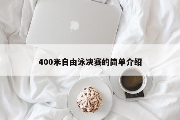 400米自由泳决赛的简单介绍