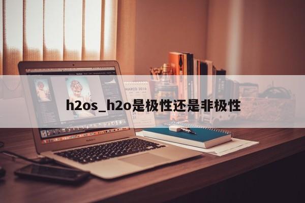 h2os_h2o是极性还是非极性