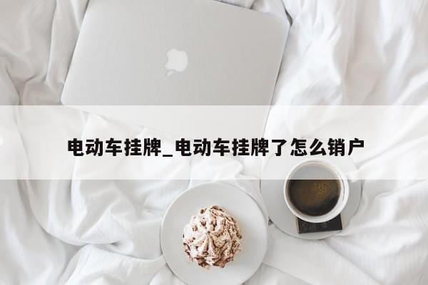 电动车挂牌_电动车挂牌了怎么销户