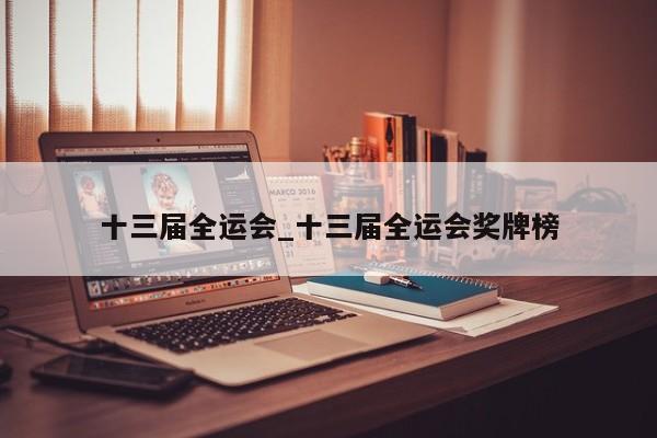 十三届全运会_十三届全运会奖牌榜