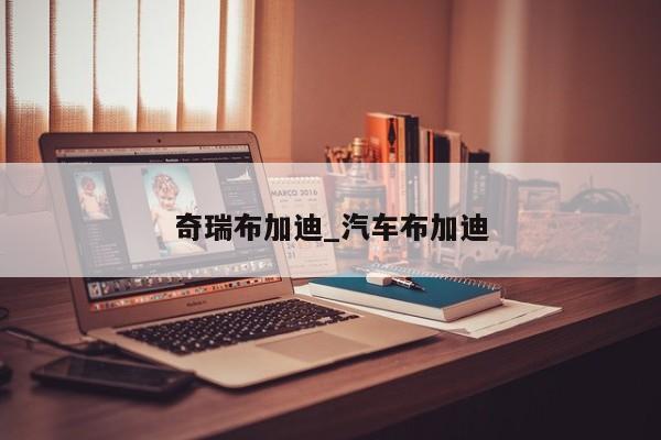 奇瑞布加迪_汽车布加迪