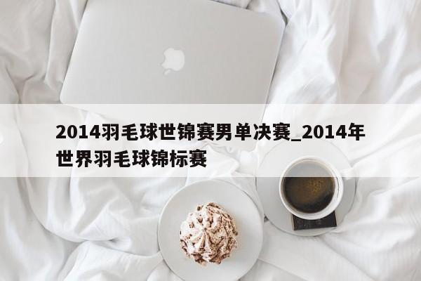 2014羽毛球世锦赛男单决赛_2014年世界羽毛球锦标赛