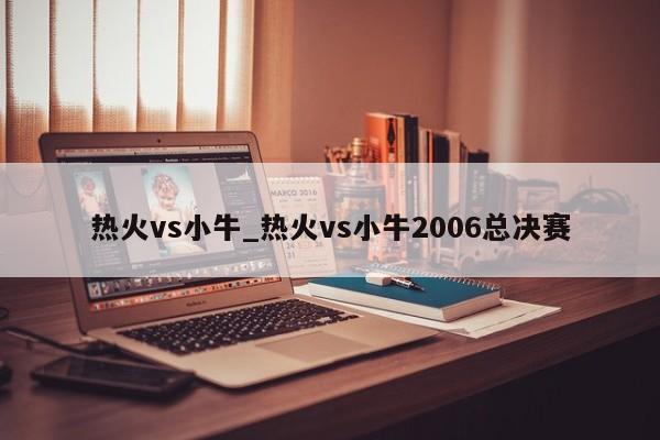 热火vs小牛_热火vs小牛2006总决赛
