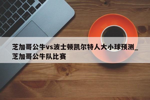 芝加哥公牛vs波士顿凯尔特人大小球预测_芝加哥公牛队比赛