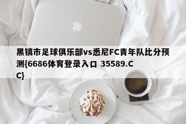 黑镇市足球俱乐部vs悉尼FC青年队比分预测{6686体育登录入口 35589.CC}
